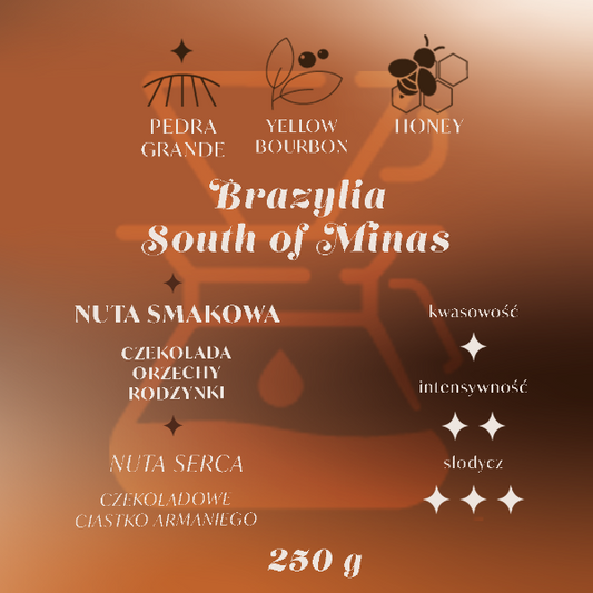 Brazylia czekoladowy przelew Palarnia kawy Focusy kawa specialty Warszawa Wilanów Sylwia Rachfalska arabika robusta ziarno kawy ekspres cappuccino alternatywy drip chemex