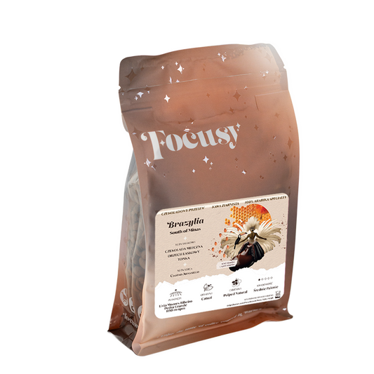 BRAZYLIA SOUTH OD MINAS Palarnia kawy Focusy kawa specialty Warszawa Wilanów Sylwia Rachfalska arabika alternatywy drip chemex