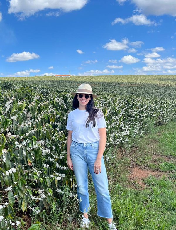 Brazylia czekoladowy przelew przelew Palarnia kawy Focusy kawa specialty Warszawa Wilanów Sylwia Rachfalska arabika robusta ziarno kawy ekspres cappuccino alternatywy drip chemex