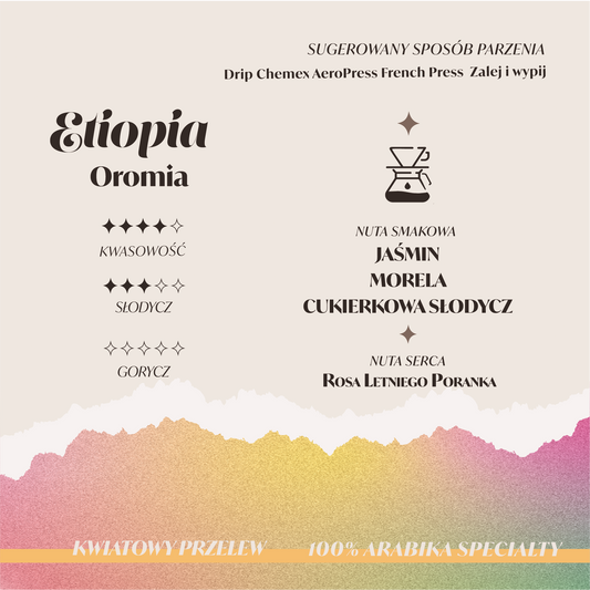 ETIOPIA OROMIA YIRGACHEFFE WASHED Palarnia kawy Focusy kawa specialty Warszawa Wilanów Sylwia Rachfalska arabika robusta ziarno kawy ekspres cappuccino alternatywy drip chemex OPIS