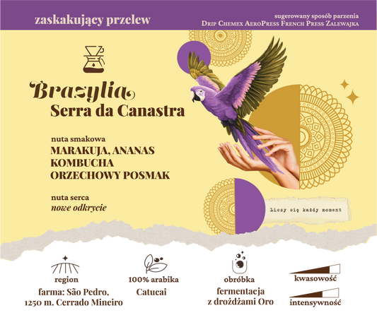 BRAZYLIA Serra da Canastra ✦ zaskakujący przelew 250 g