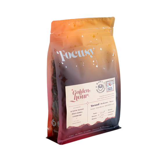 Palarnia kawy Focusy kawa specialty Warszawa Wilanów Sylwia Rachfalska arabika robusta ziarno kawy ekspres cappuccino alternatywy drip chemex