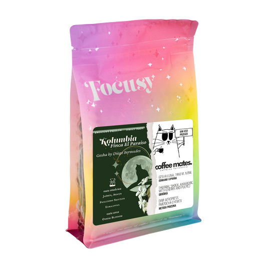 KOLUMBIA Gesha by Diego Bermudez ✦ kwiatowy przelew