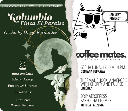 Palarnia kawy Focusy kawa specialty Warszawa Wilanów Sylwia Rachfalska arabika robusta ziarno kawy ekspres cappuccino alternatywy drip chemex kolumbia diego bermudez gesha