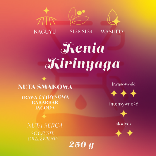 Kenia owocowy przelew Palarnia kawy Focusy kawa specialty Warszawa Wilanów Sylwia Rachfalska arabika robusta ziarno kawy ekspres cappuccino alternatywy drip chemex
