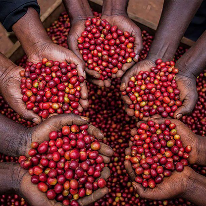 NOWOŚĆ: BURUNDI KAYANZA ✦ owocowy przelew