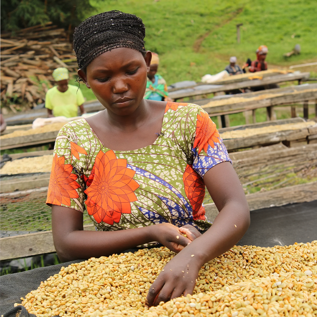 NOWOŚĆ: BURUNDI KAYANZA ✦ owocowy przelew
