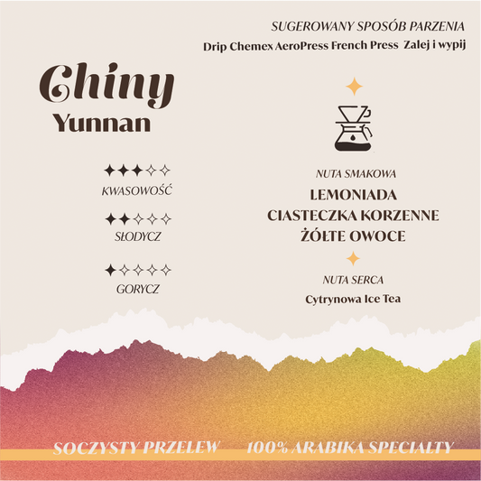 Palarnia kawy Focusy kawa specialty Warszawa Wilanów Sylwia Rachfalska arabika robusta ziarno kawy ekspres cappuccino alternatywy drip chemex