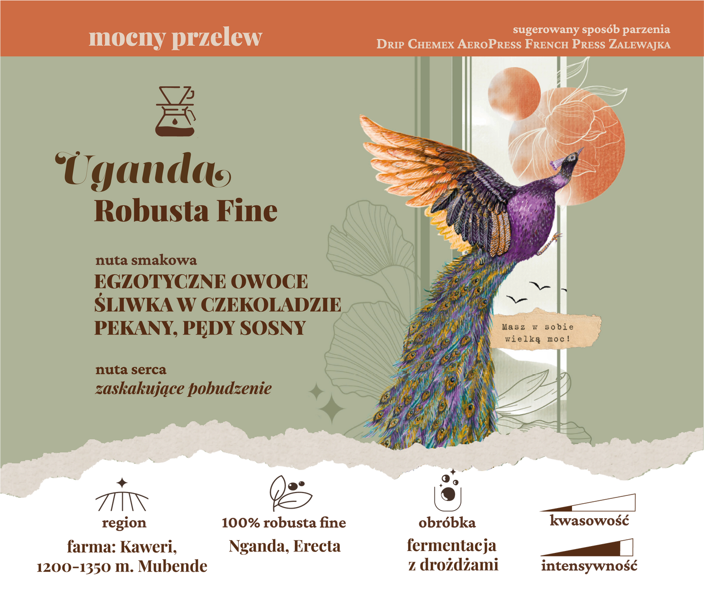 UGANDA Robusta Fine ✦ mocny przelew 250 g