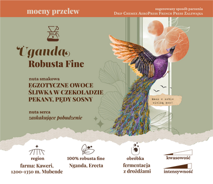 UGANDA Robusta Fine ✦ mocny przelew 250 g