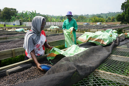 UGANDA by Maria Kirya & Norman Mukuru ✦owocowy przelew