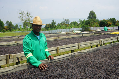 UGANDA by Maria Kirya & Norman Mukuru ✦owocowy przelew