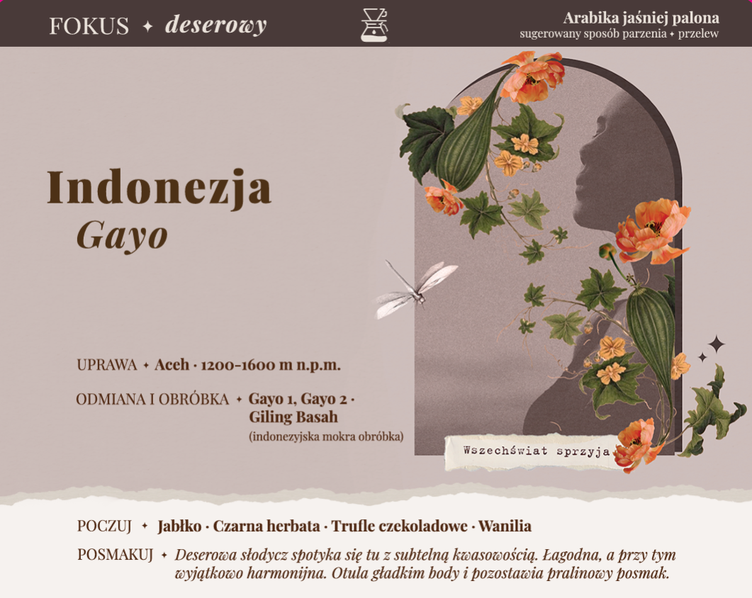 INDONEZJA Gayo ✦ deserowy przelew 250 g